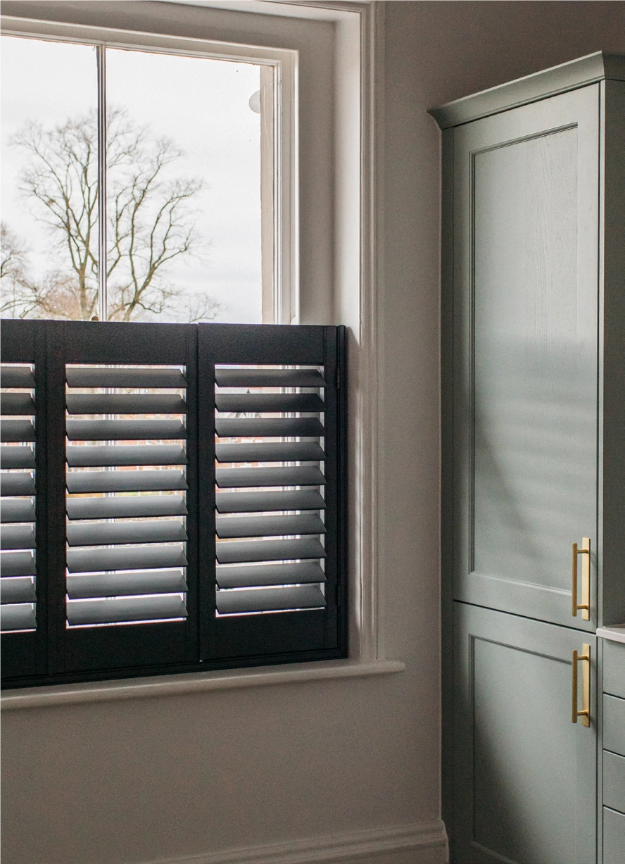 Paulownia, Custom Paint.