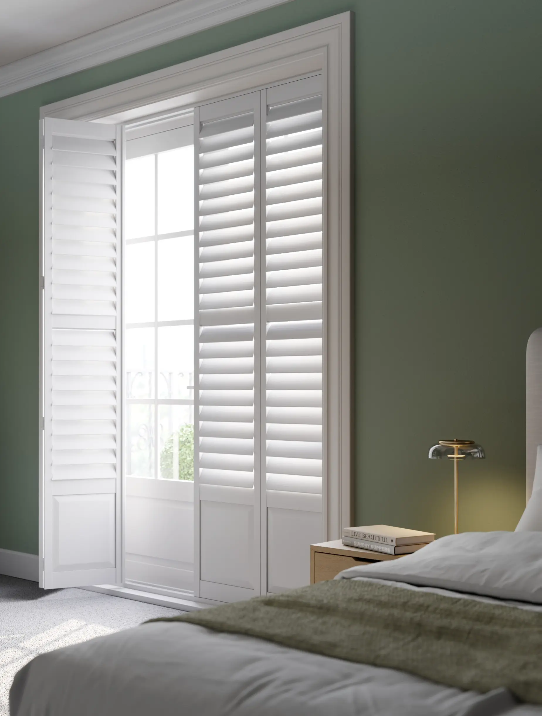 Paulownia, Vivid White